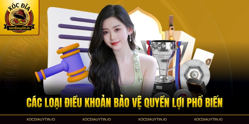 Các loại điều khoản bảo vệ quyền lợi phổ biến