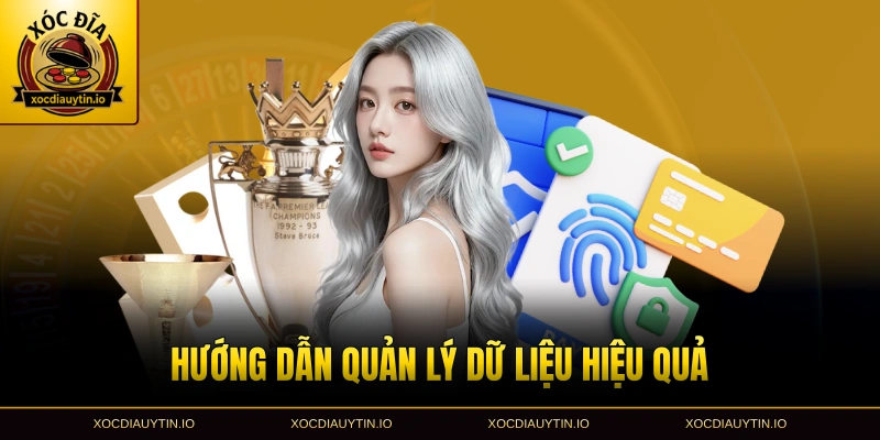 Hướng dẫn quản lý dữ liệu hiệu quả