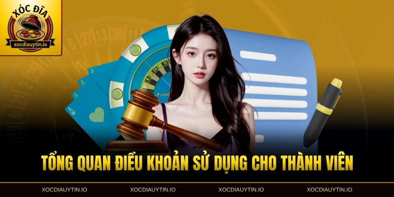 Tổng quan điều khoản sử dụng cho thành viên