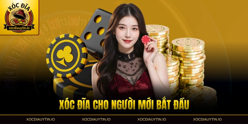 Xóc đĩa cho người mới bắt đầu